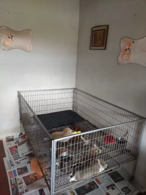 Nossas Instalações