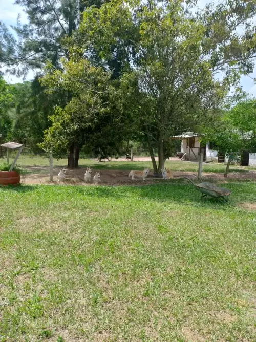 Nossas Instalações