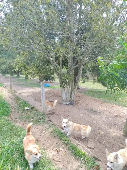 Nossas Instalações